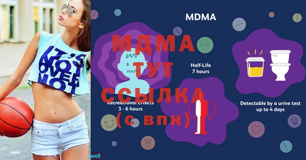 индика Кукмор