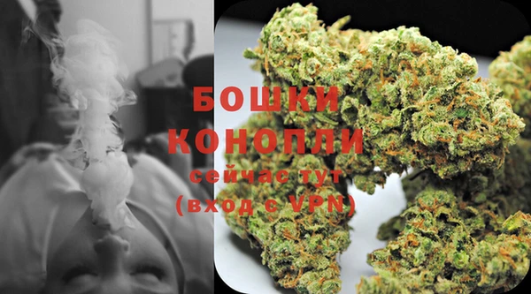 индика Кукмор