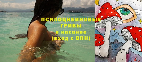 2c-b Кулебаки