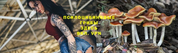 кокаин перу Алексин